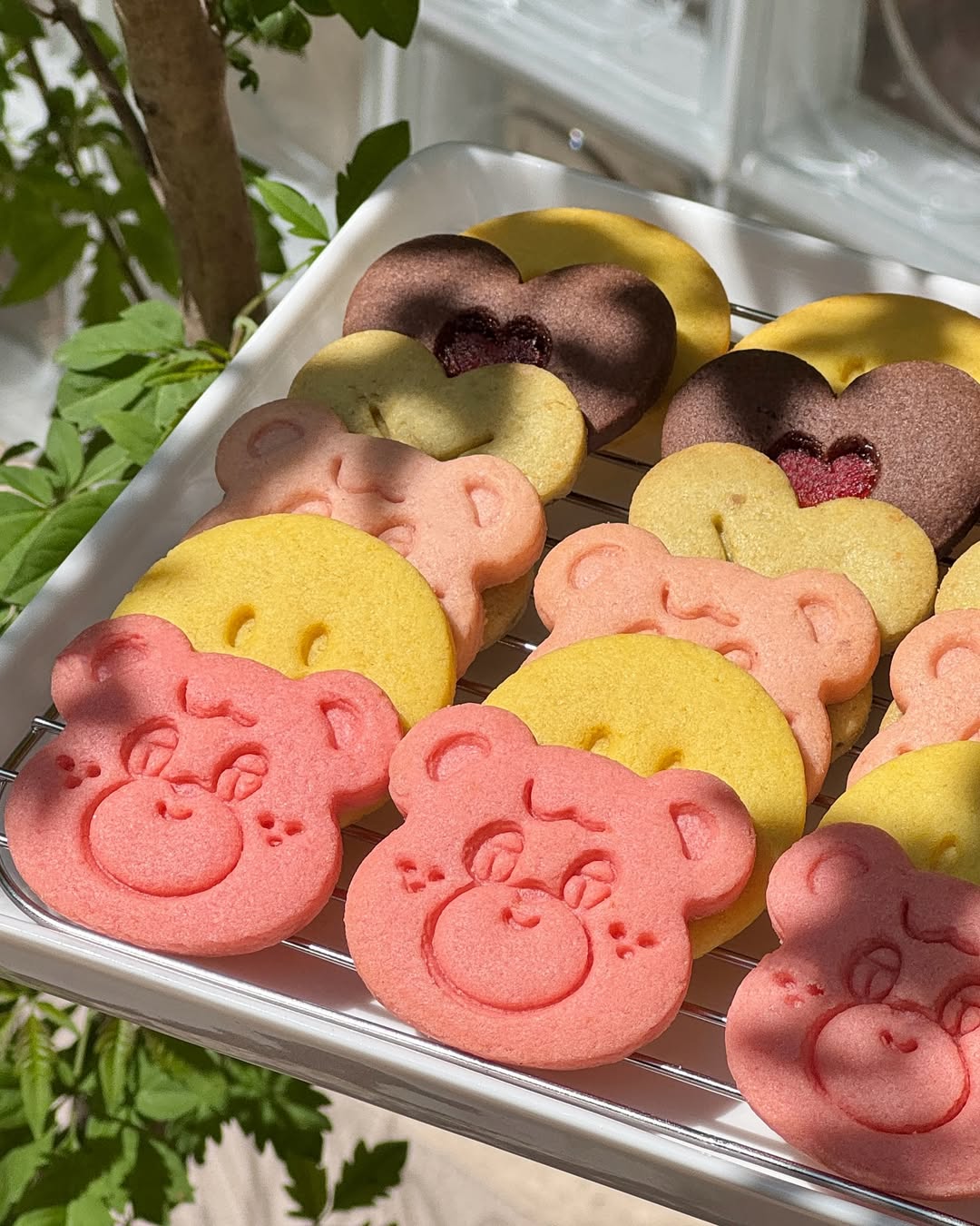 인스타그램이미지7